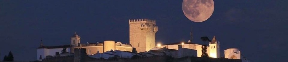 http://bonovo.rpg-amd.com/fileuploads/Banners PT/_banner33.jpg
